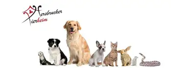 Webdesign Agentur Hersbruck für Tierheim Hersbruck Webdesign Agentur Hersbruck für Tierheim Hersbruck